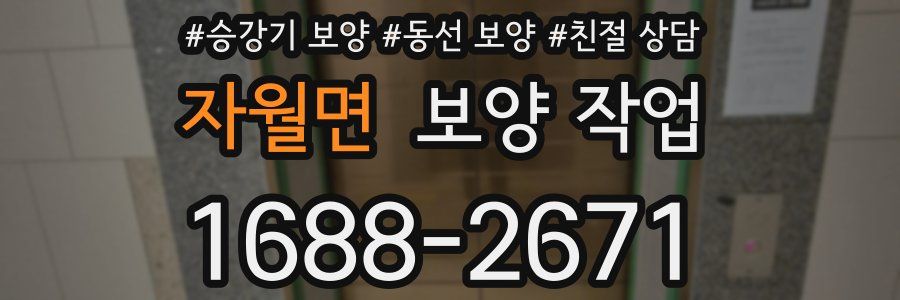 자월면 보양 작업