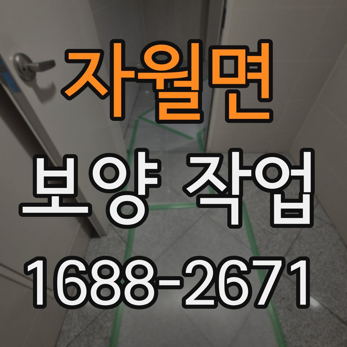 자월면 보양 작업