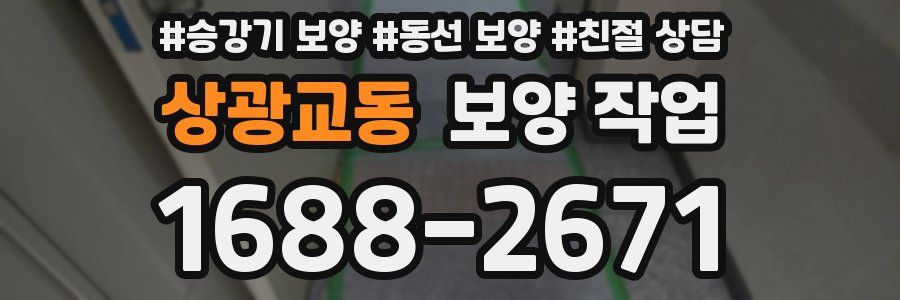상광교동 보양 작업