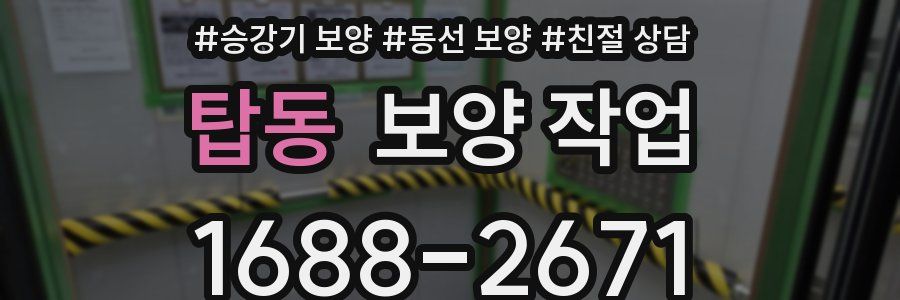 탑동 보양 작업