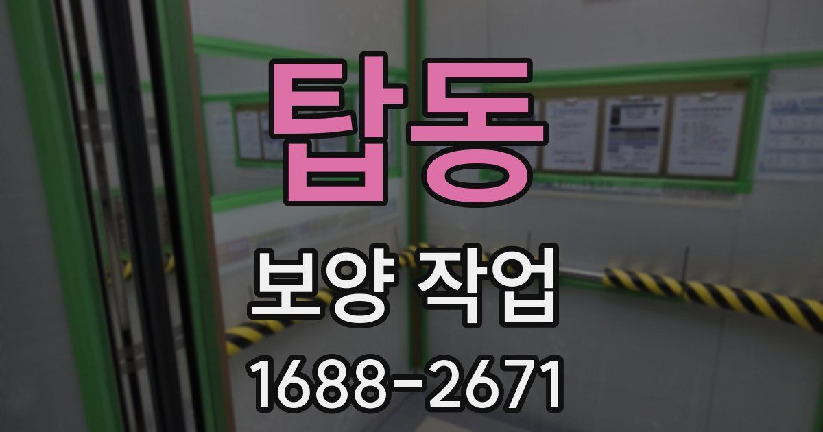 탑동 보양 작업