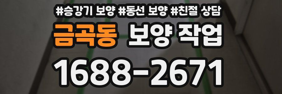 금곡동 보양 작업