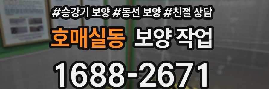 호매실동 보양 작업