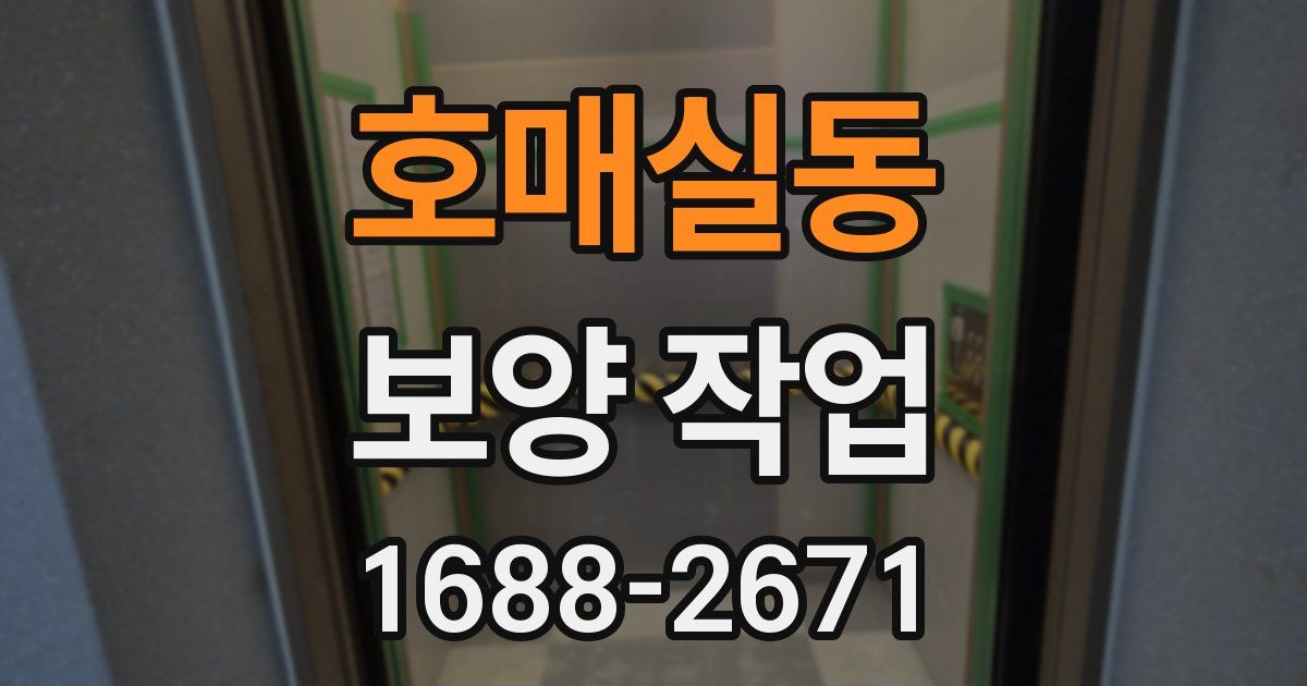 호매실동 보양 작업