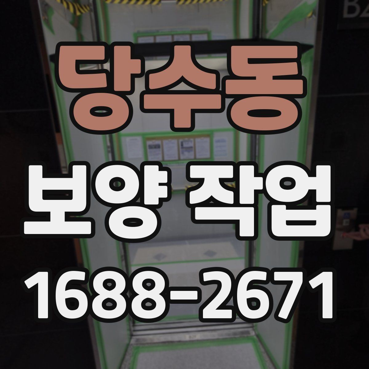 당수동 보양 작업 진행 절차를 쉽게 정리