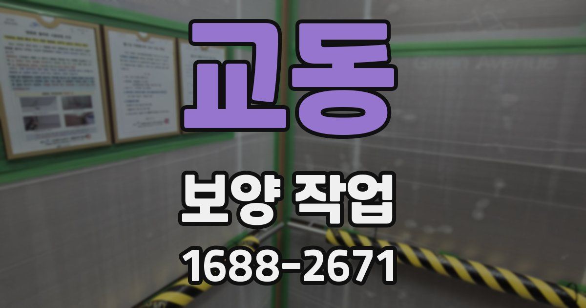 교동 보양 작업