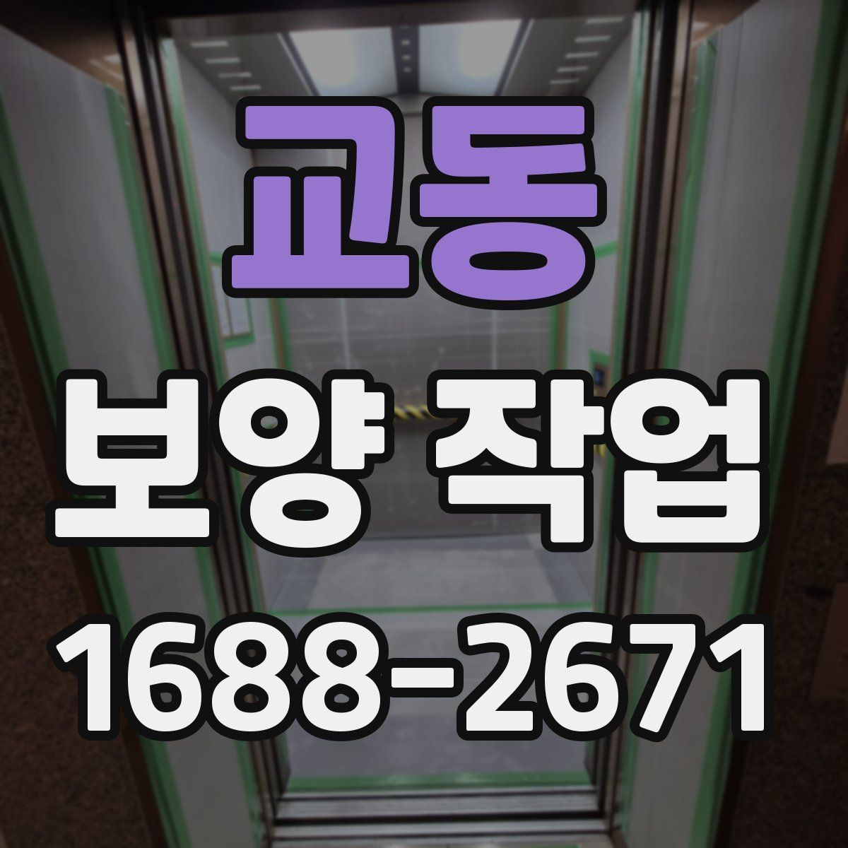 교동 보양 작업