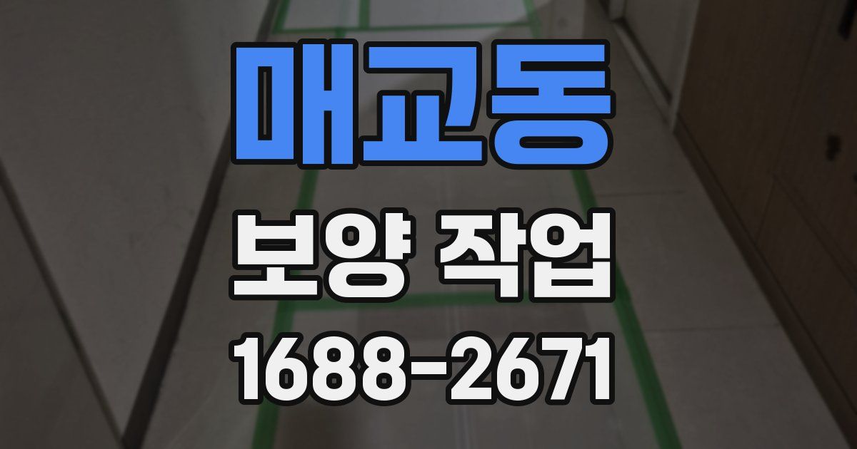 매교동 보양 작업