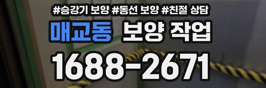 매교동 보양 작업