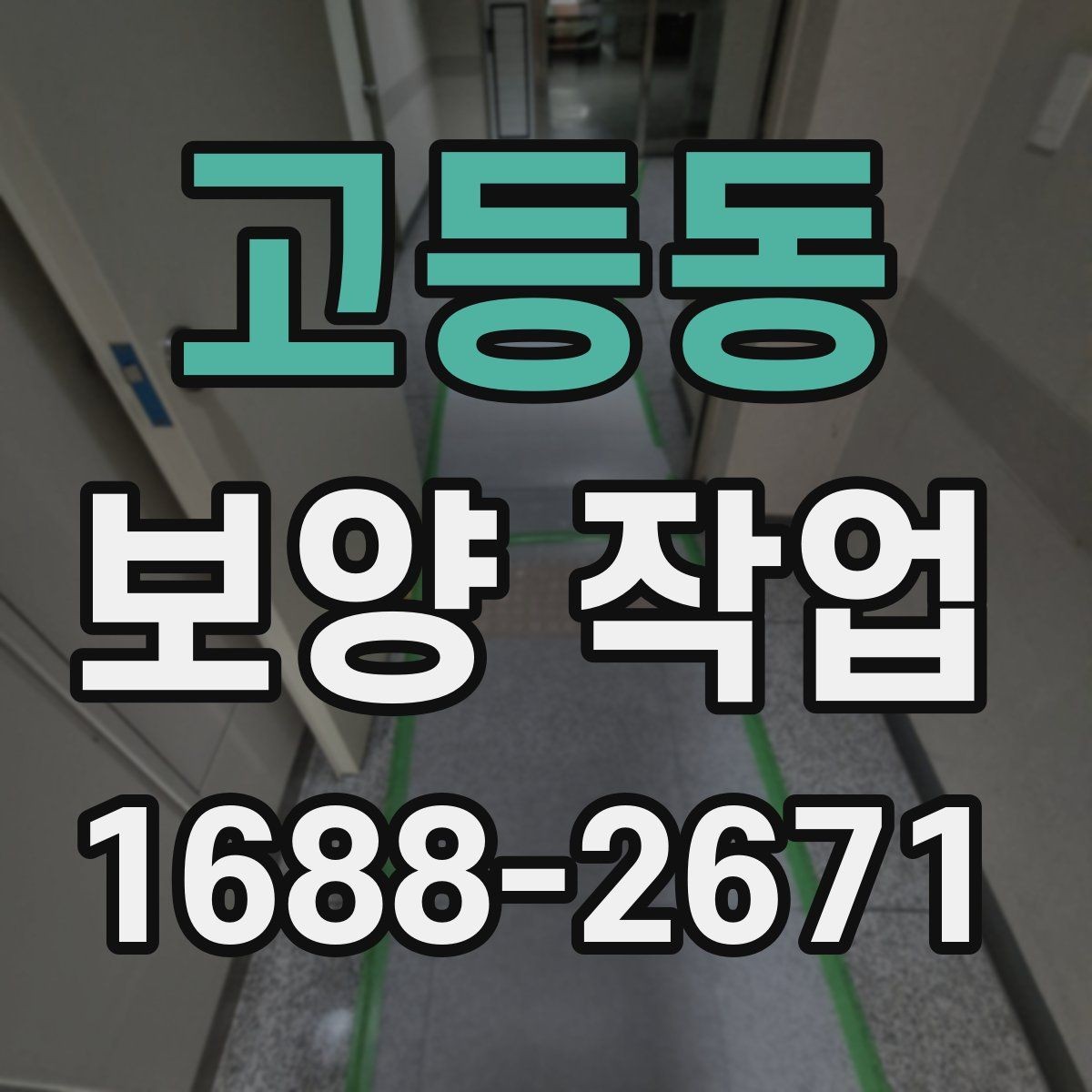 고등동 보양 작업 품질을 좌우하는 시공 순서
