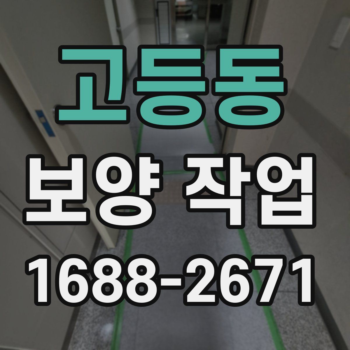 고등동 보양 작업