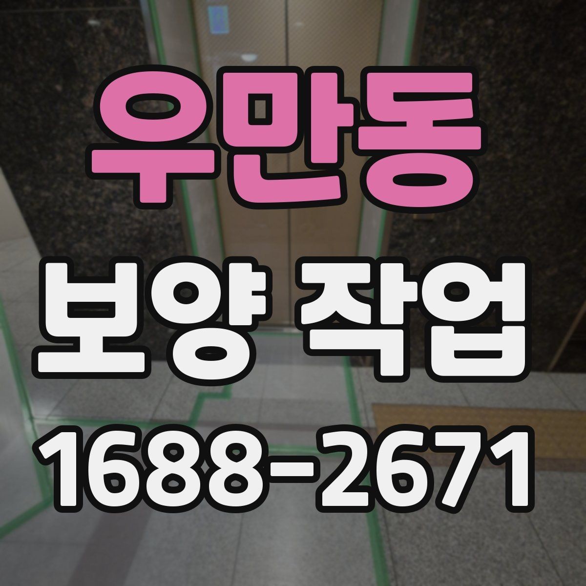 우만동 보양 작업 후 손상 방지를 위한 관리