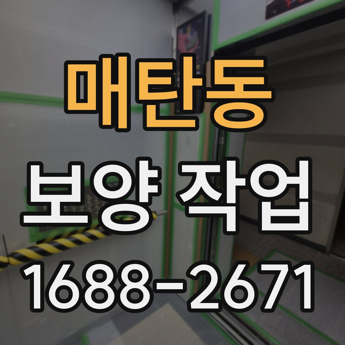매탄동 보양 작업