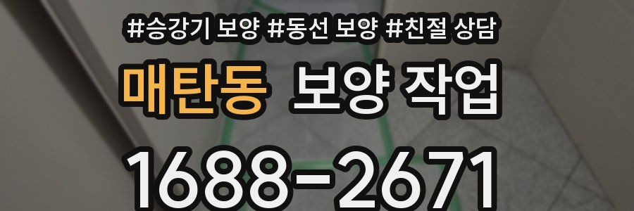 매탄동 보양 작업