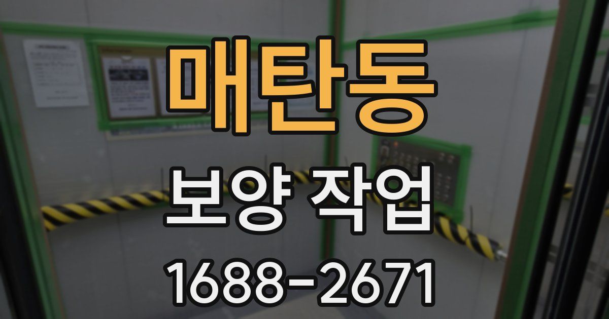 매탄동 보양 작업