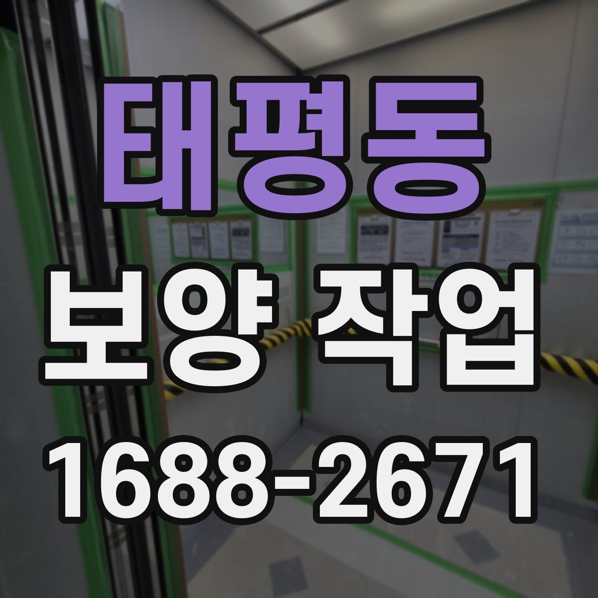 태평동 보양 작업