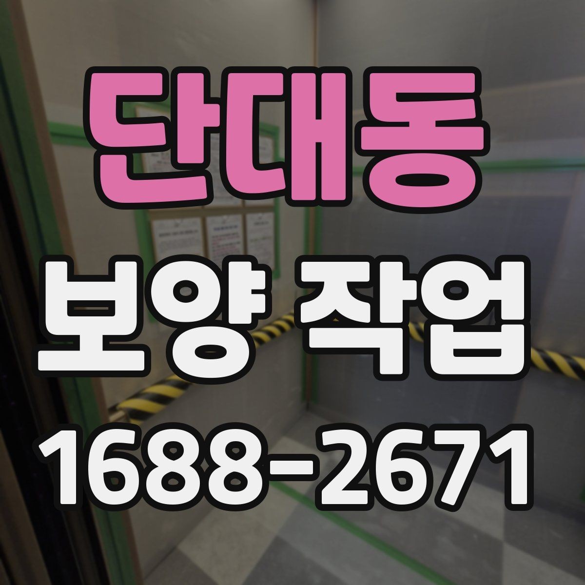 단대동 보양 작업 전후 사진으로 보는 현장 변화