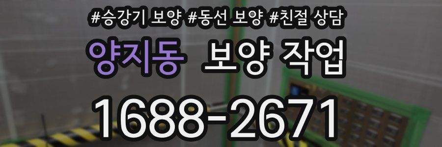 양지동 보양 작업