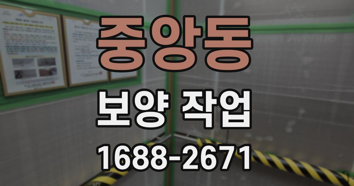 중앙동 보양 작업