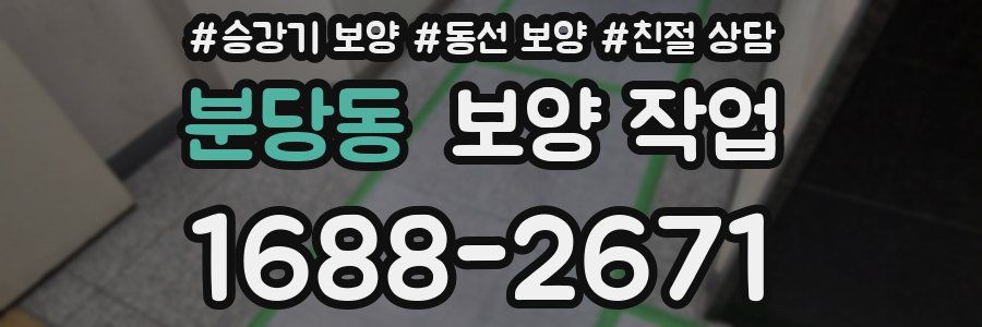 분당동 보양 작업