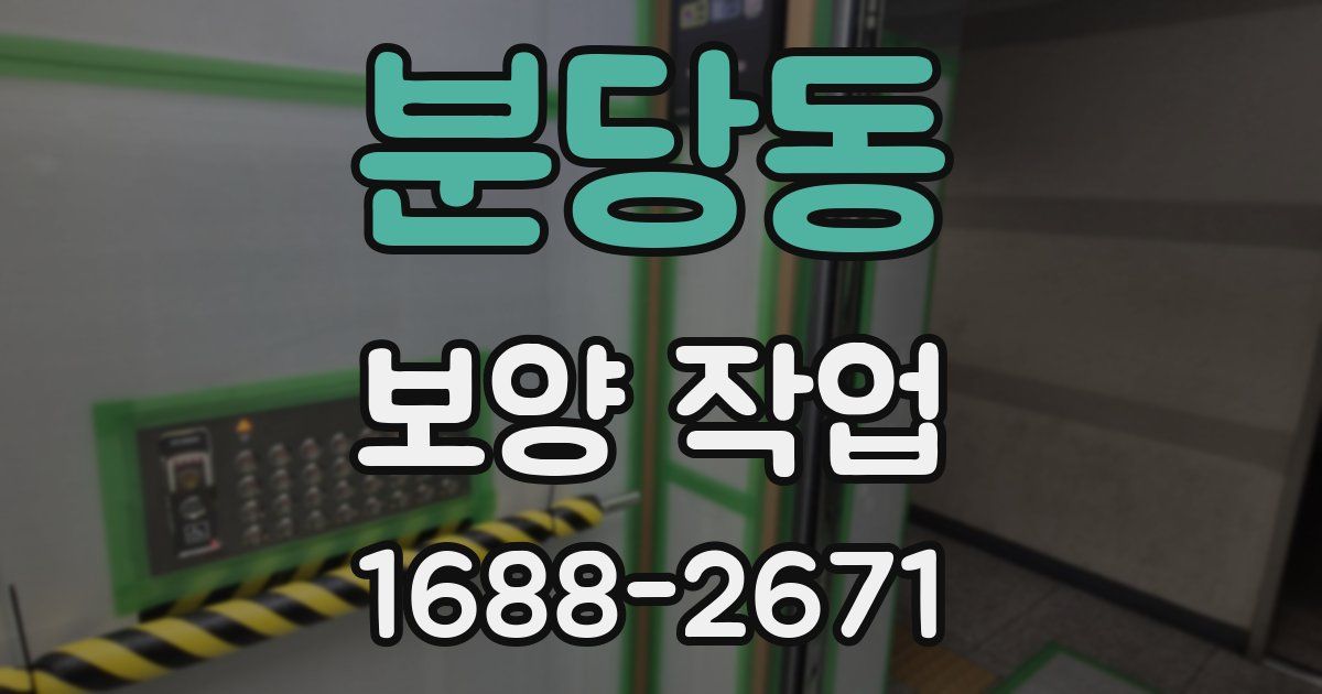 분당동 보양 작업