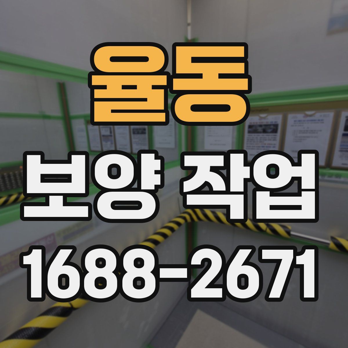 율동 보양 작업