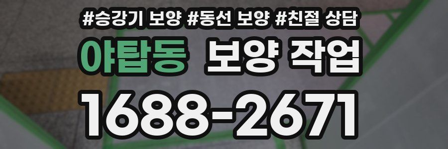 야탑동 보양 작업