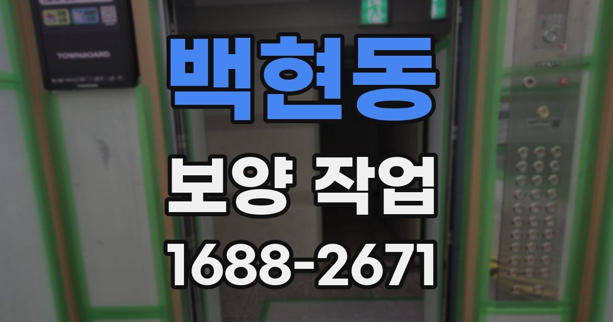 백현동 보양 작업