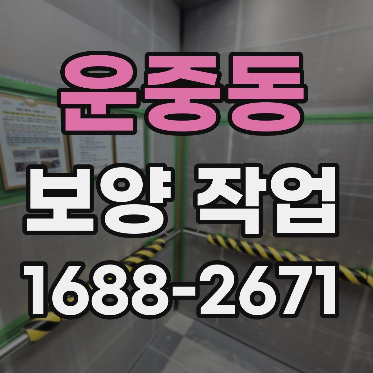 운중동 보양 작업 전 현장 동의와 확인 절차