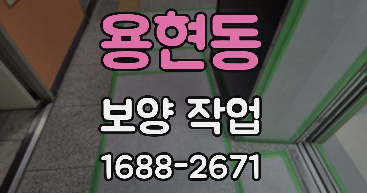 용현동 보양 작업