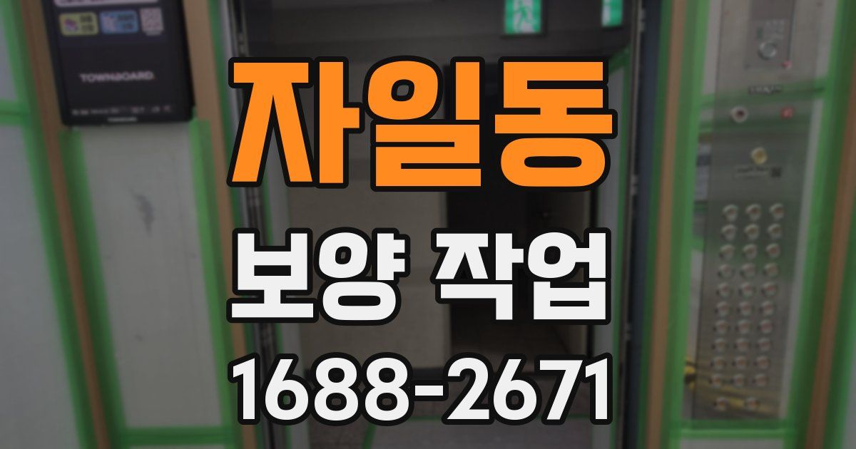 자일동 보양 작업