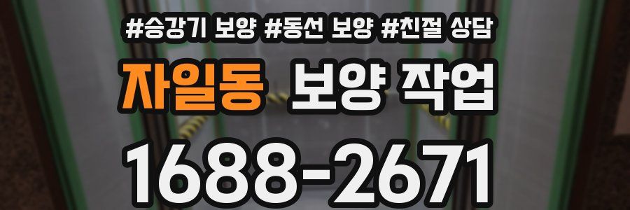 자일동 보양 작업