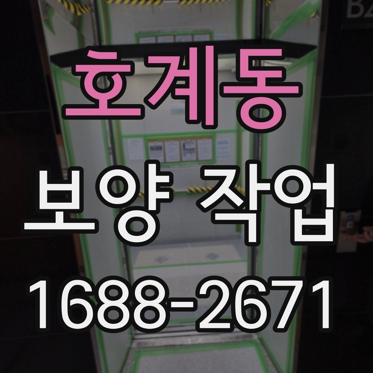 호계동 보양 작업 관련 오해와 실제 차이
