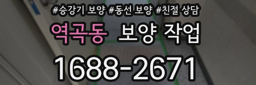 역곡동 보양 작업