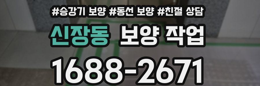 신장동 보양 작업
