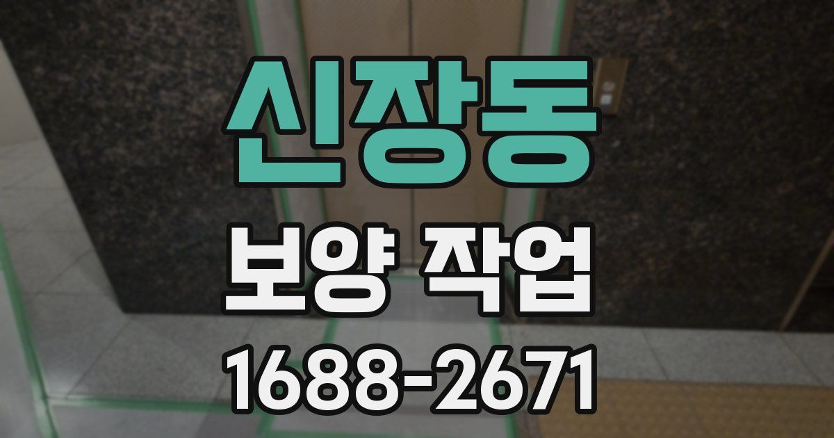 신장동 보양 작업