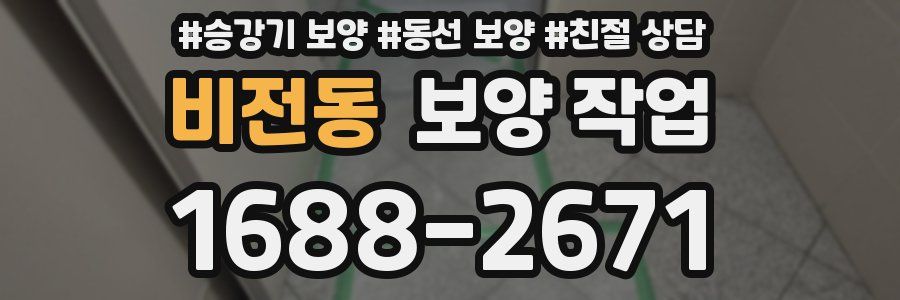 비전동 보양 작업