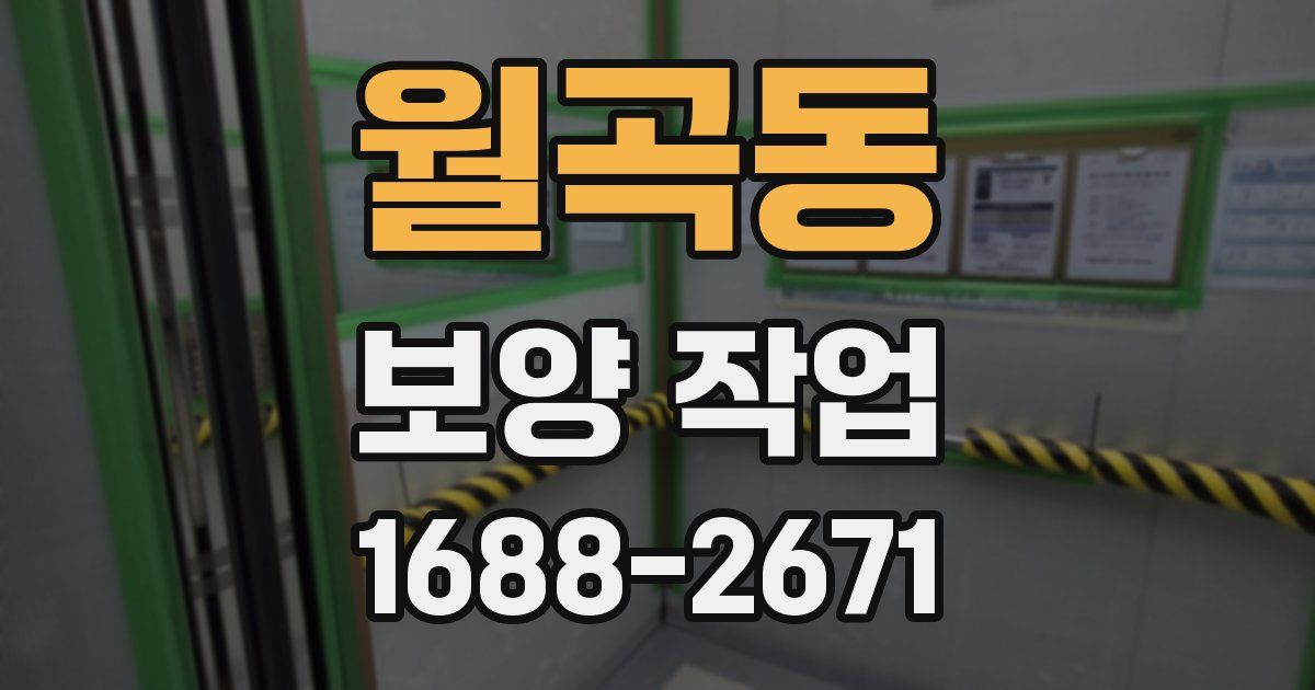 월곡동 보양 작업
