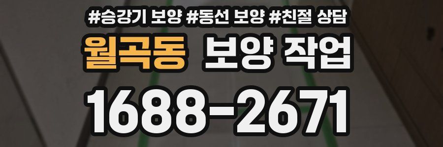 월곡동 보양 작업