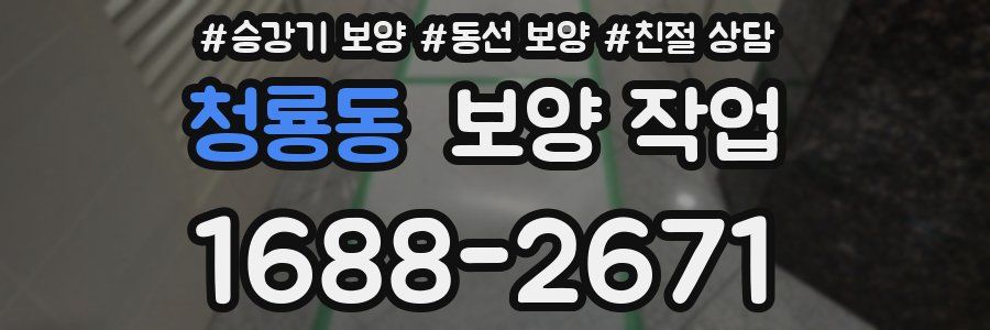청룡동 보양 작업