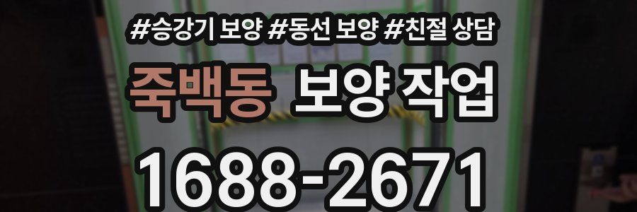 죽백동 보양 작업