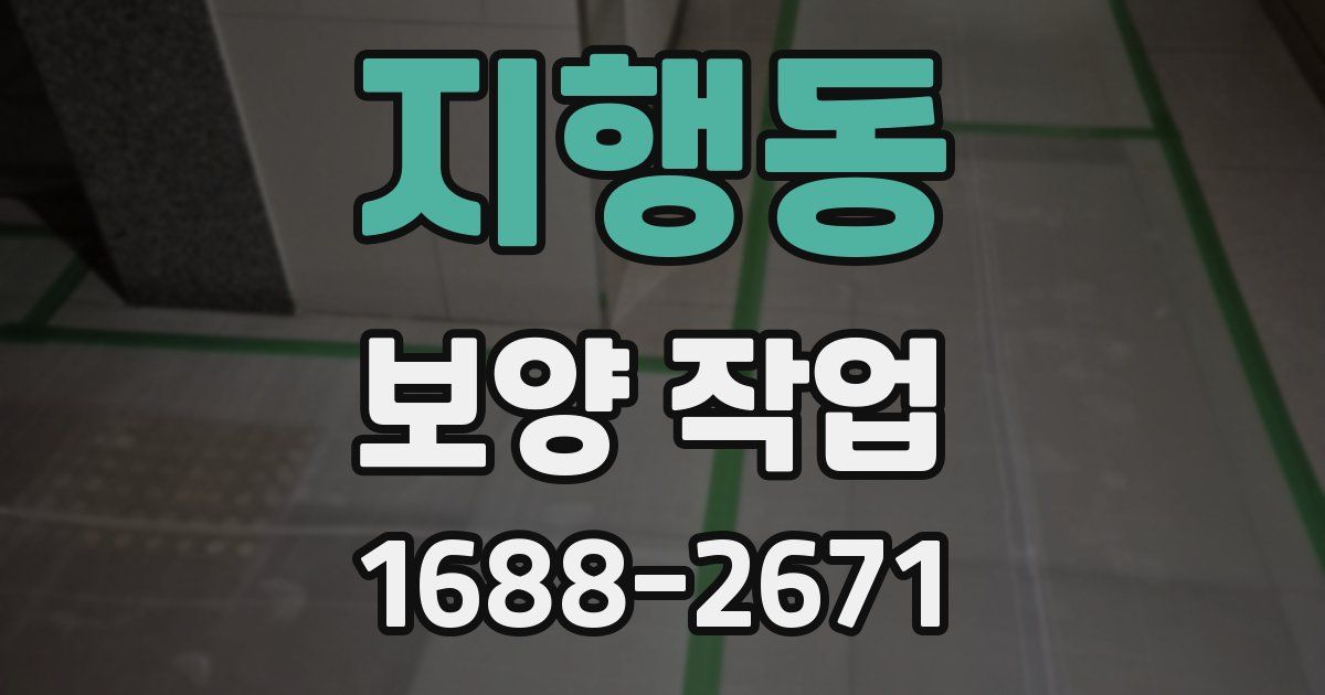 지행동 보양 작업