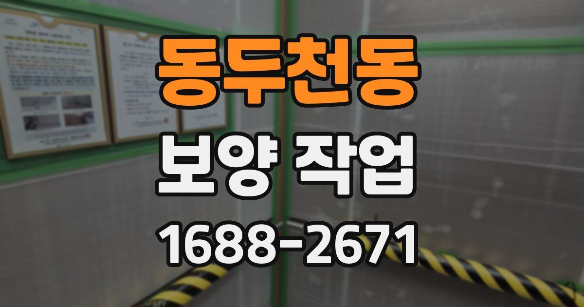 동두천동 보양 작업