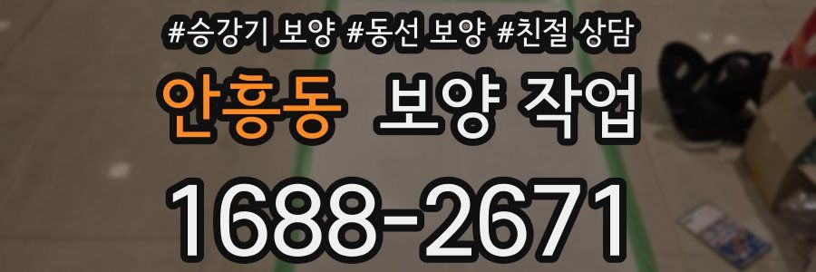 안흥동 보양 작업