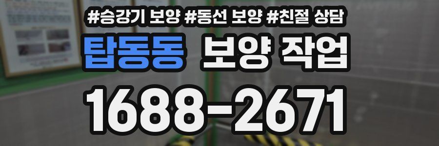 탑동동 보양 작업