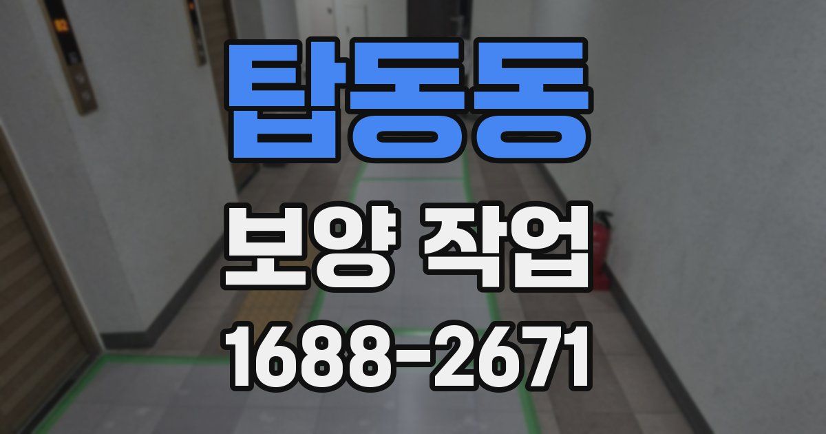 탑동동 보양 작업