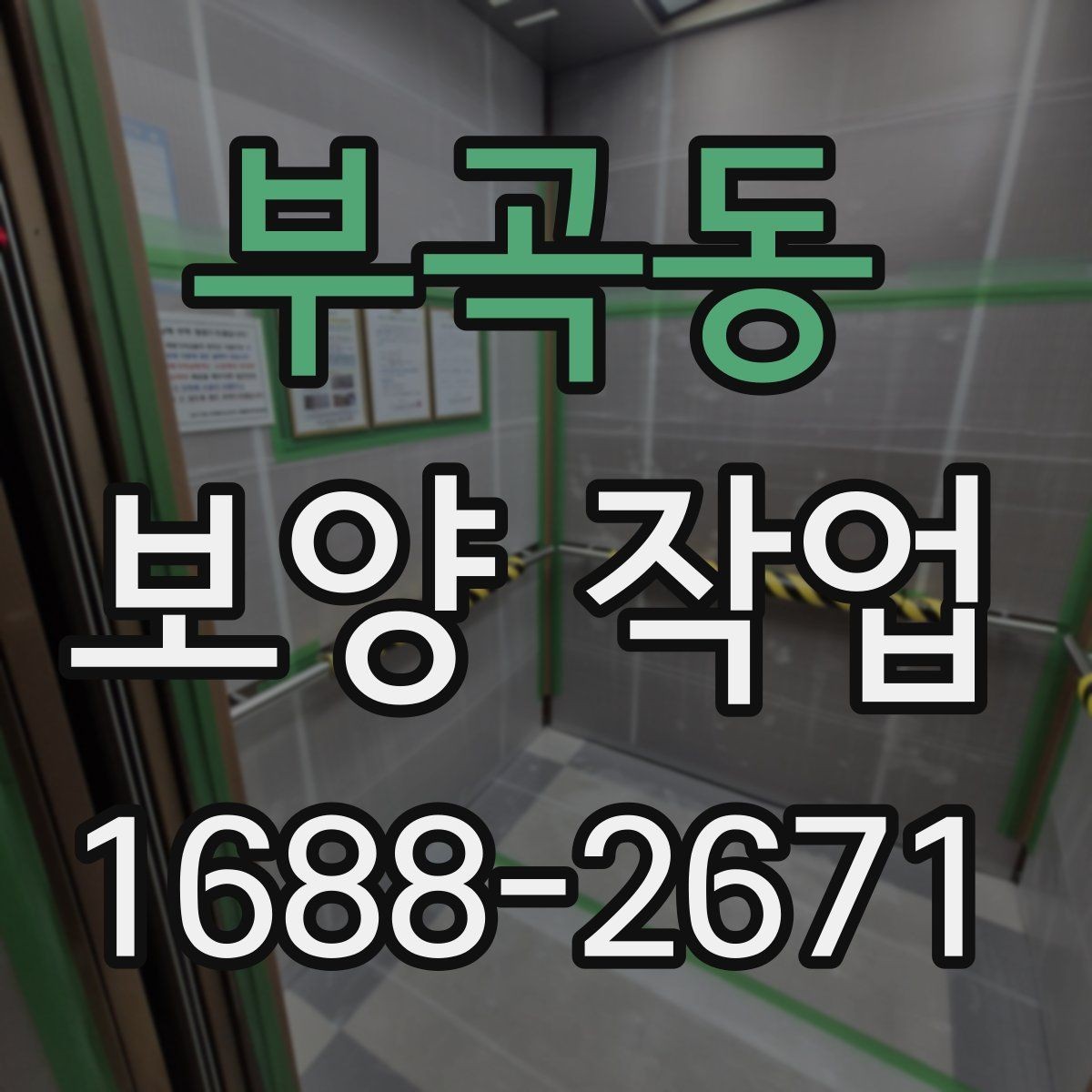 부곡동 보양 작업 전후로 달라지는 관리 포인트