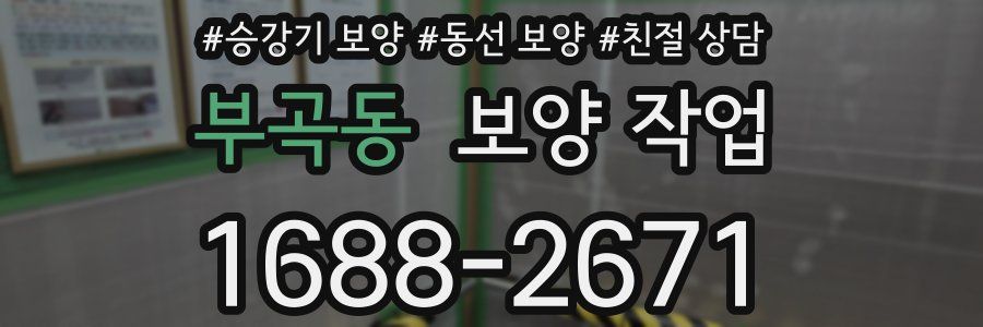부곡동 보양 작업
