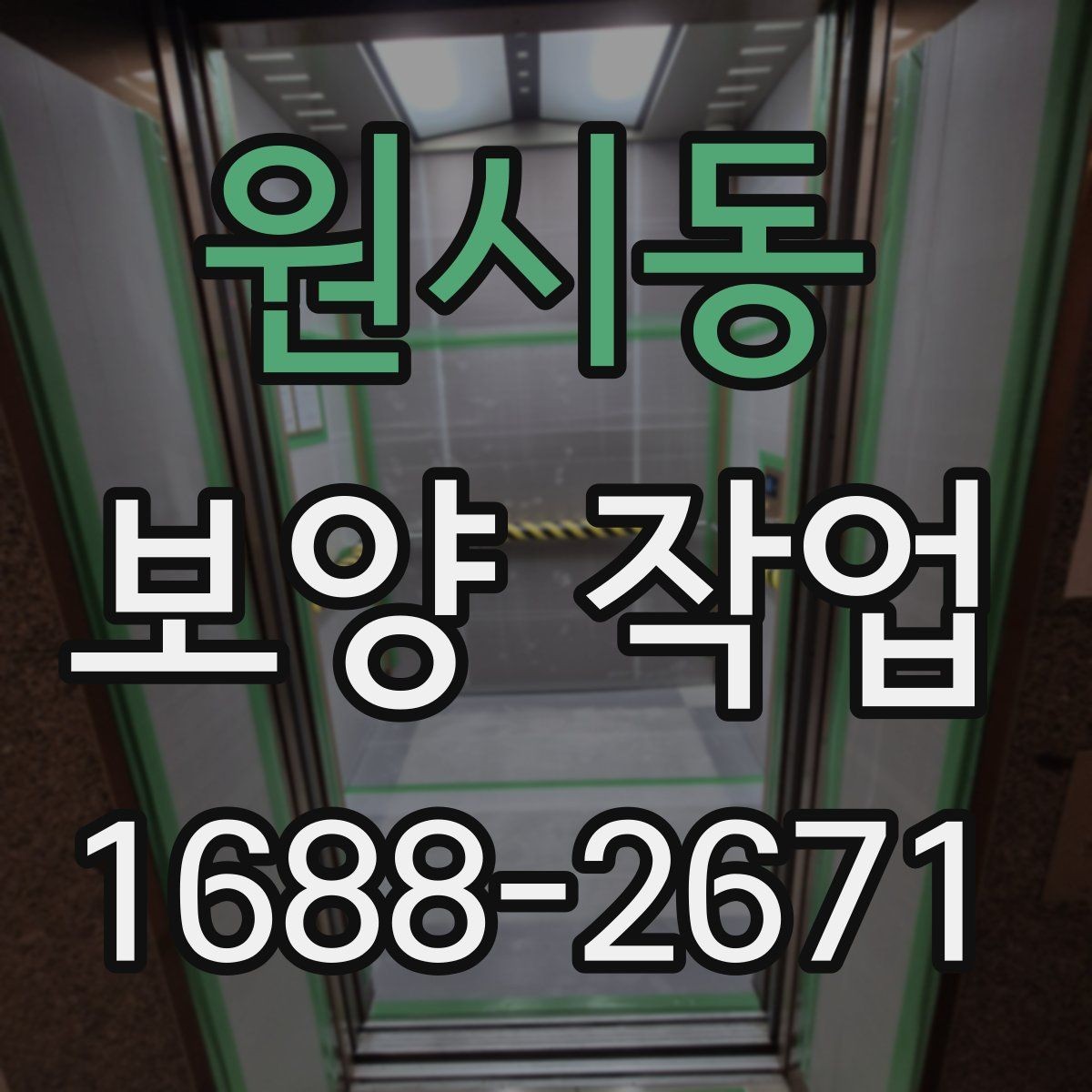 원시동 보양 작업 진행 전후로 비교해야 할 항목
