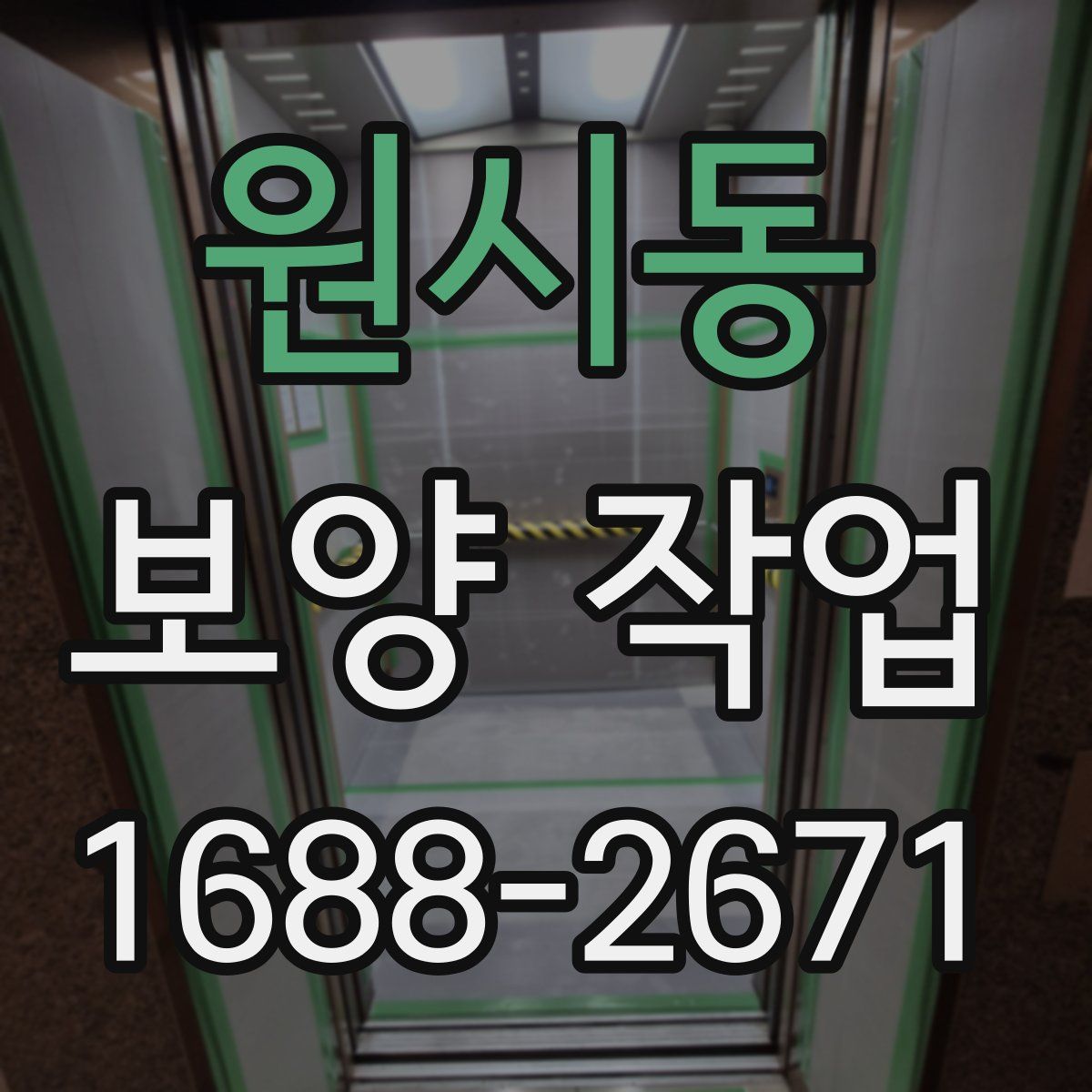 원시동 보양 작업